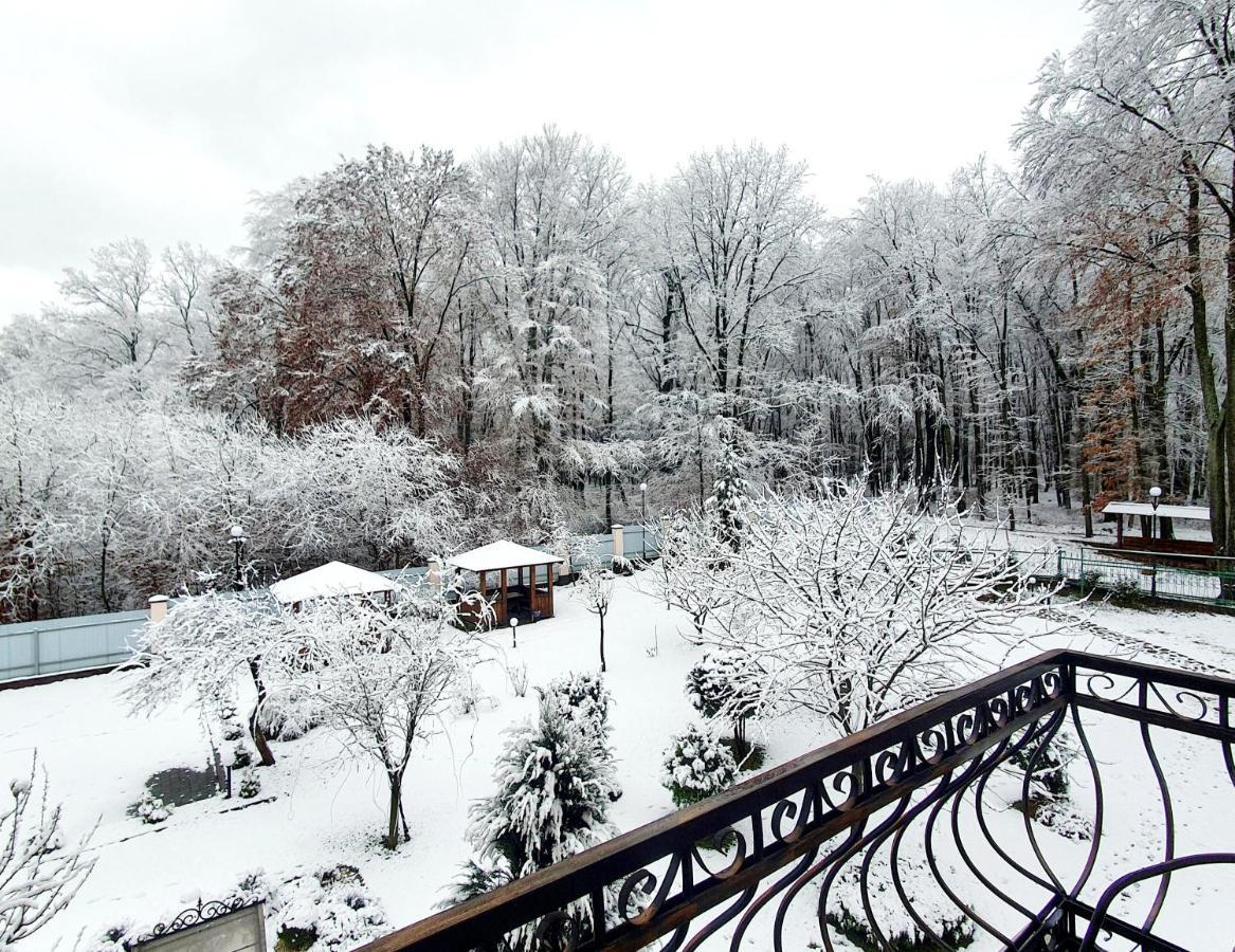Villa Zenko Briukhovychi Exterior foto